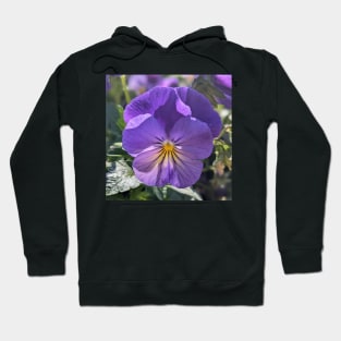 Purple and Yellow Striped Flower Hoodie